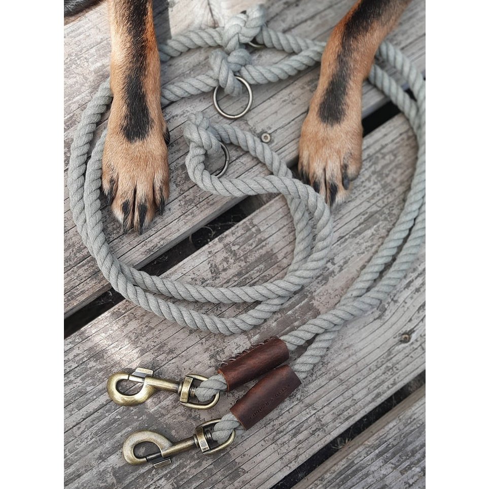 Verstelbare Hondenriem meerdere kleuren