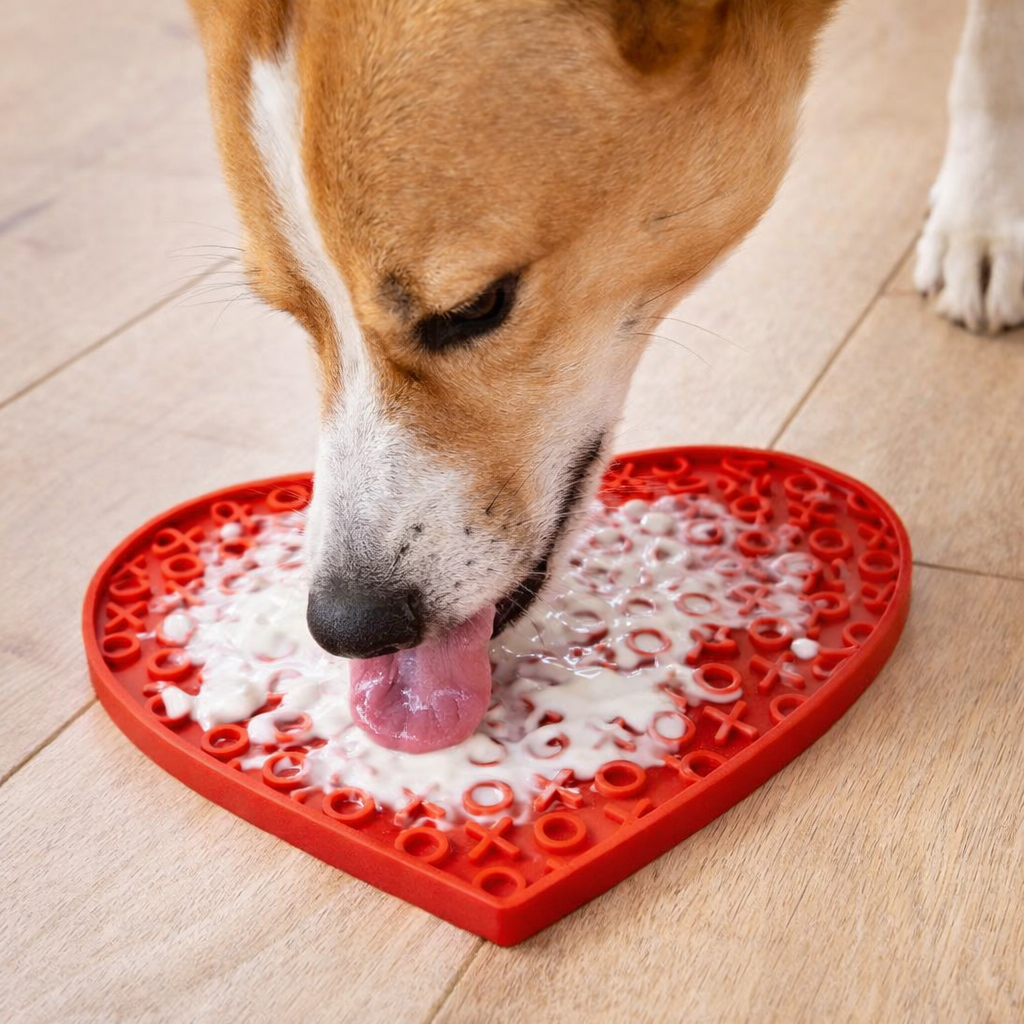 Likmat: maak eten rustiger voor je hond of kat