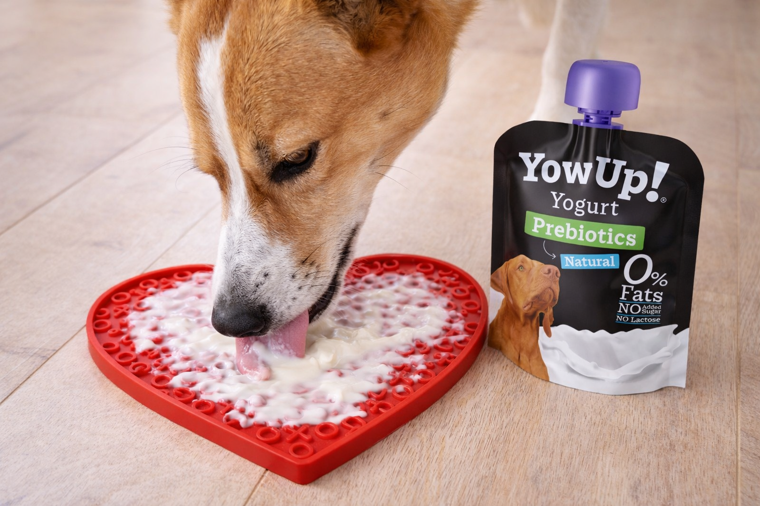 Yoghurt voor hond of kat