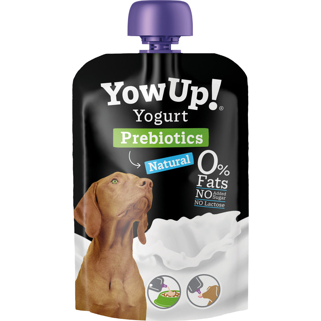 Yoghurt voor hond of kat