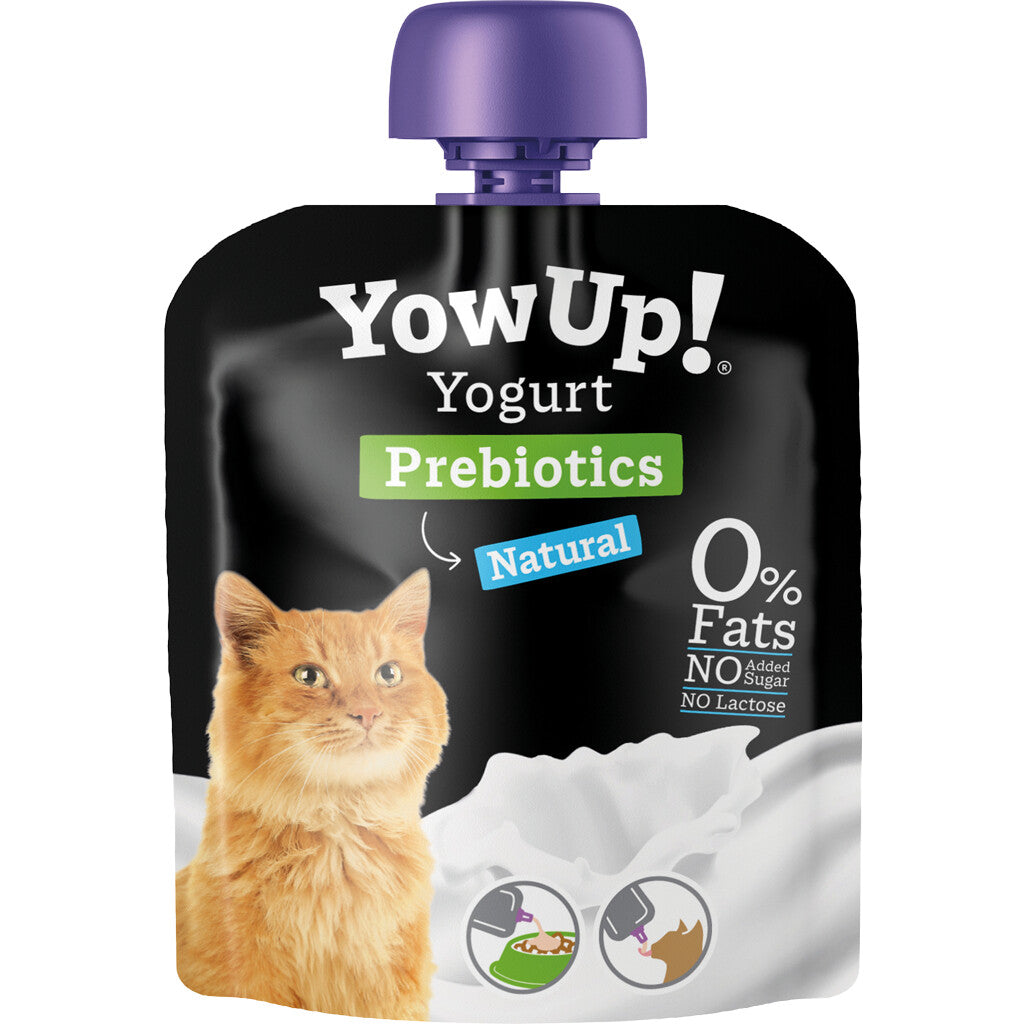 Yoghurt voor hond of kat