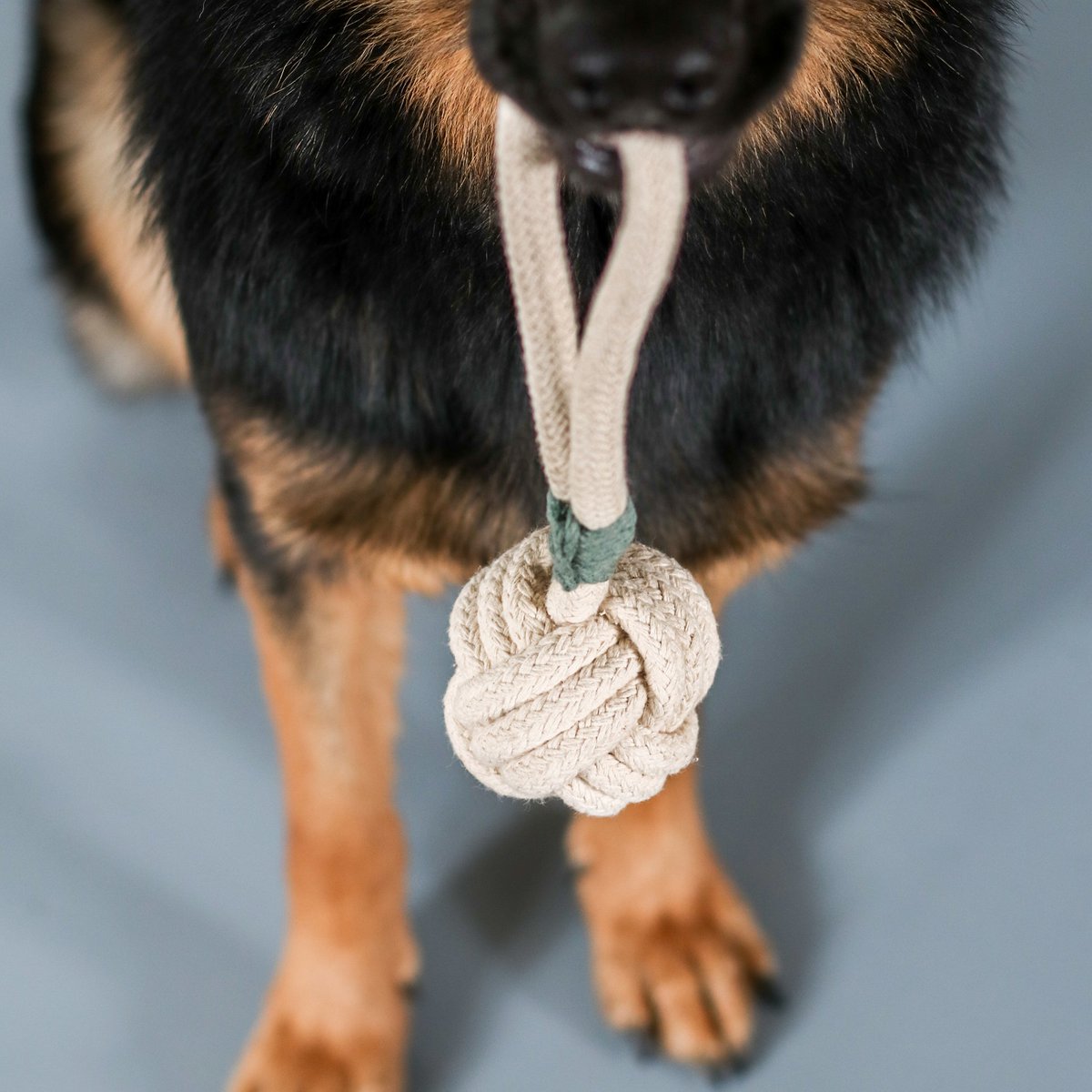 Touw trekspeeltje voor honden