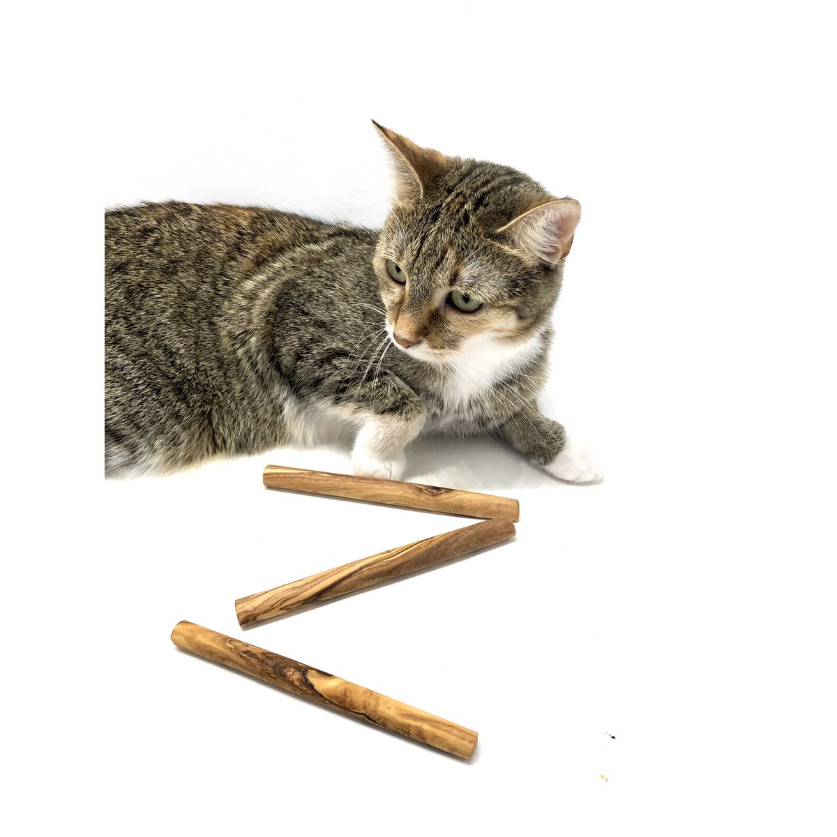 Olijfhouten kauwbotten honden of katten (set van 3)