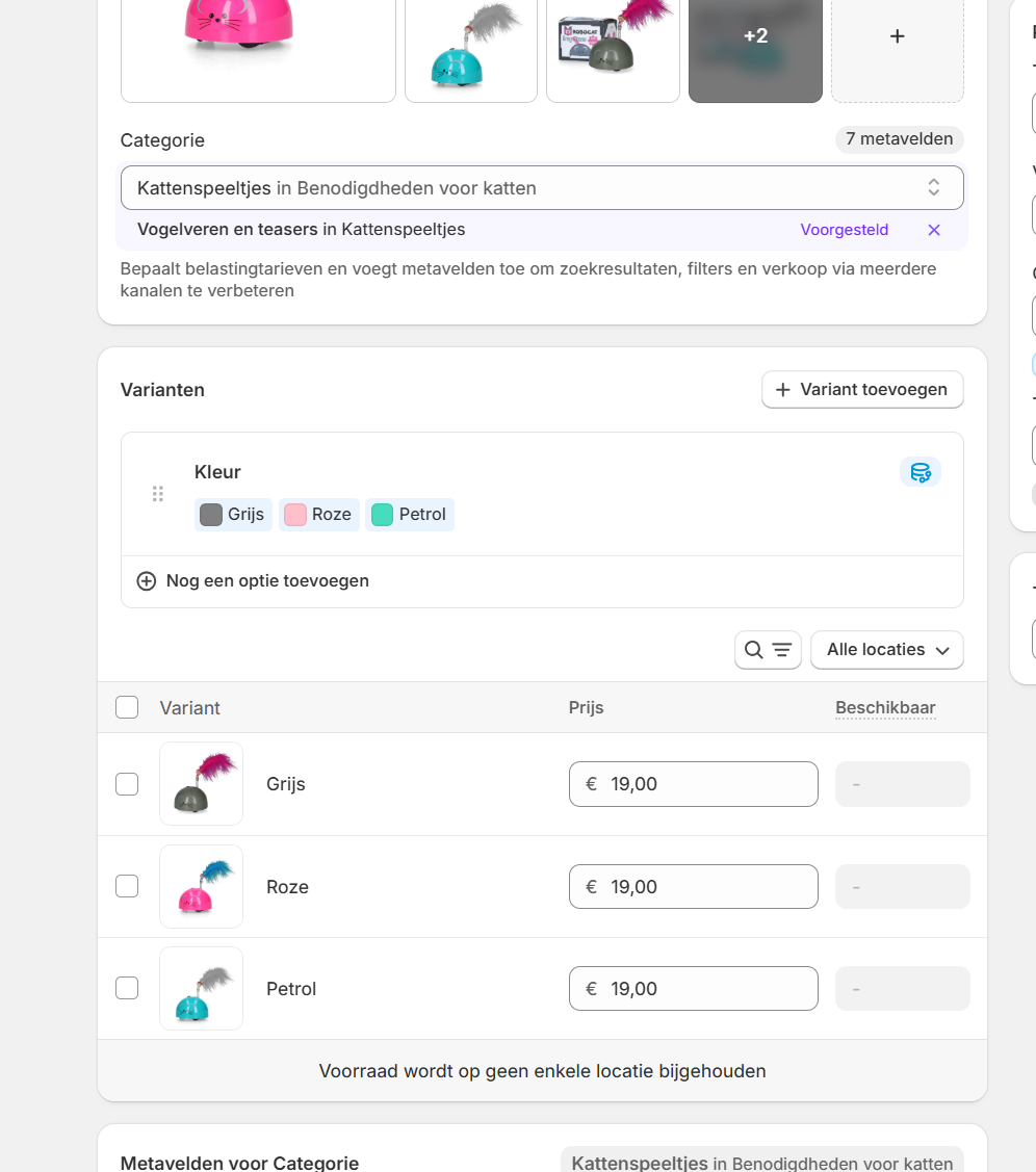 Robocat muis kattenspeeltje