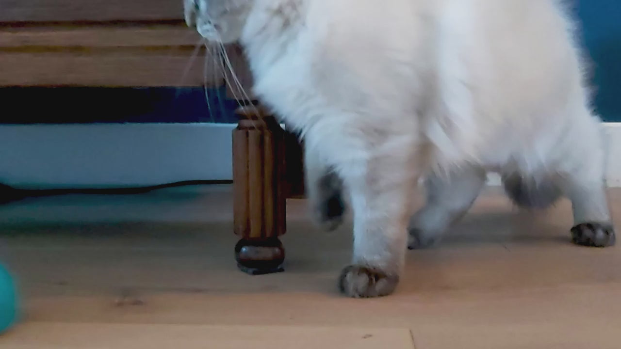 Load video: Robocat muis kattenspeeltje