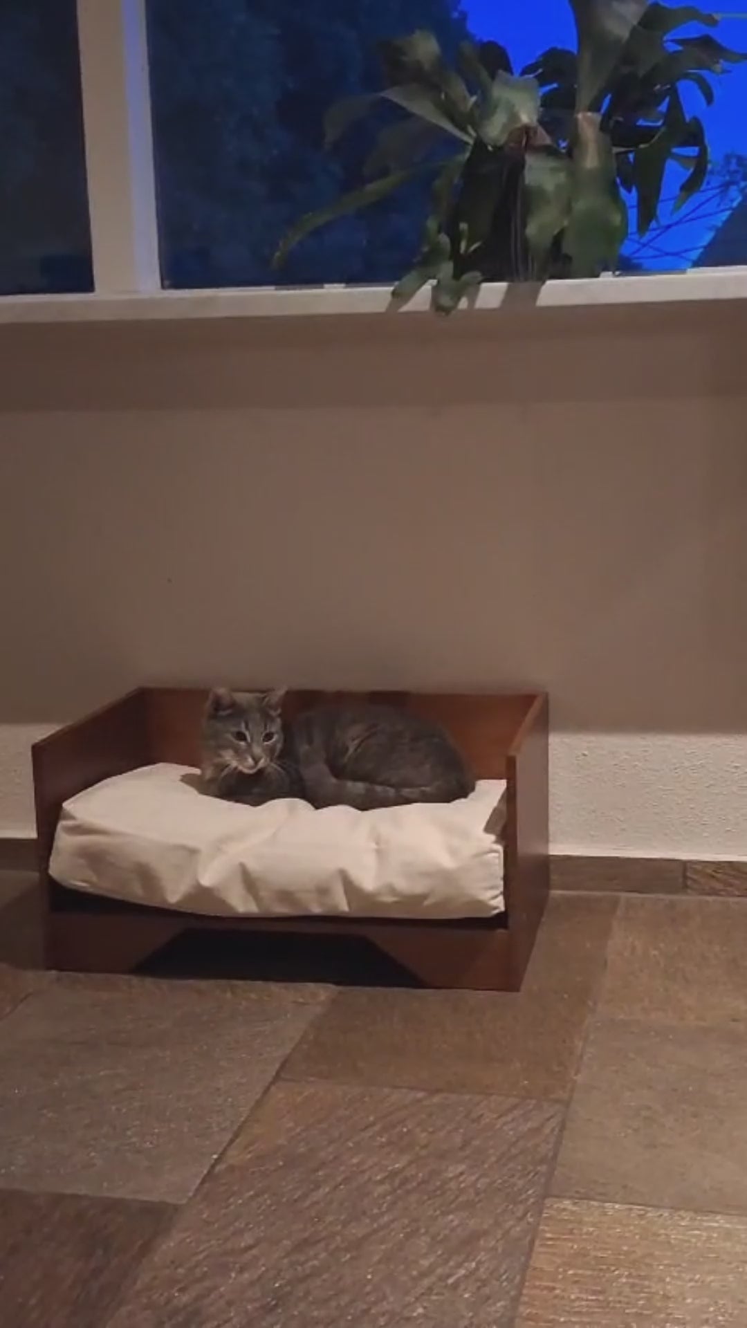Video laden: Luxe houten honden- en kattenmand met zacht uitneembaar kussen